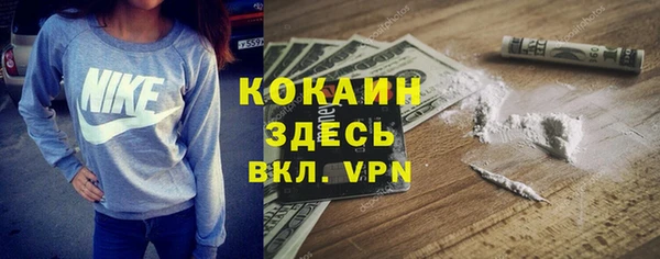 эйфоретик Аркадак