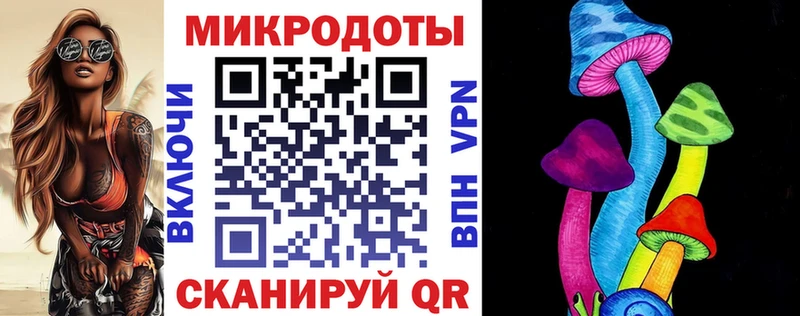 Псилоцибиновые грибы Cubensis Тобольск