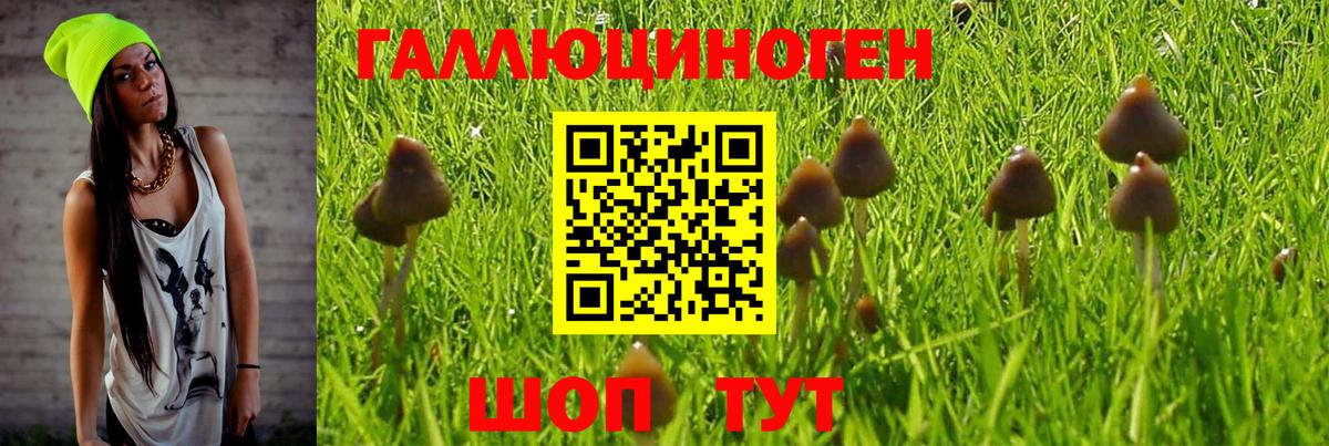 Псилоцибиновые грибы ЛСД Тобольск