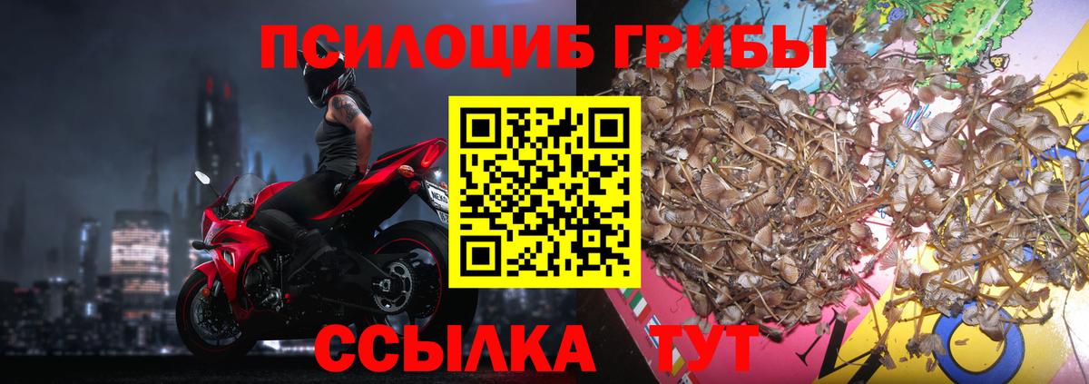 Псилоцибиновые грибы MAGIC MUSHROOMS  Вход с VPN  Тобольск 